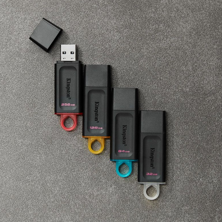 Kingston DTX USB 3.2 Data Traveller 16GB/32GB/64GB/128GB Monaliza