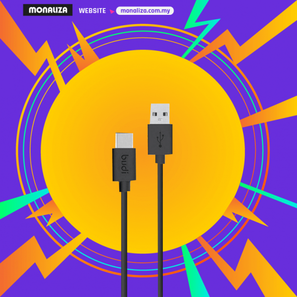 Budi 158T Type-C Cable
